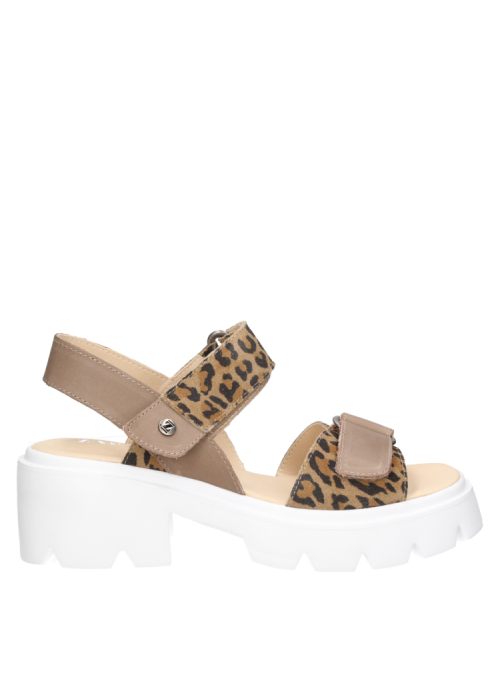 Sandalia Mujer G419 ZAPPA animal print